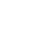 Business Intelligence